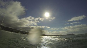 Foiling towards Dinas Head